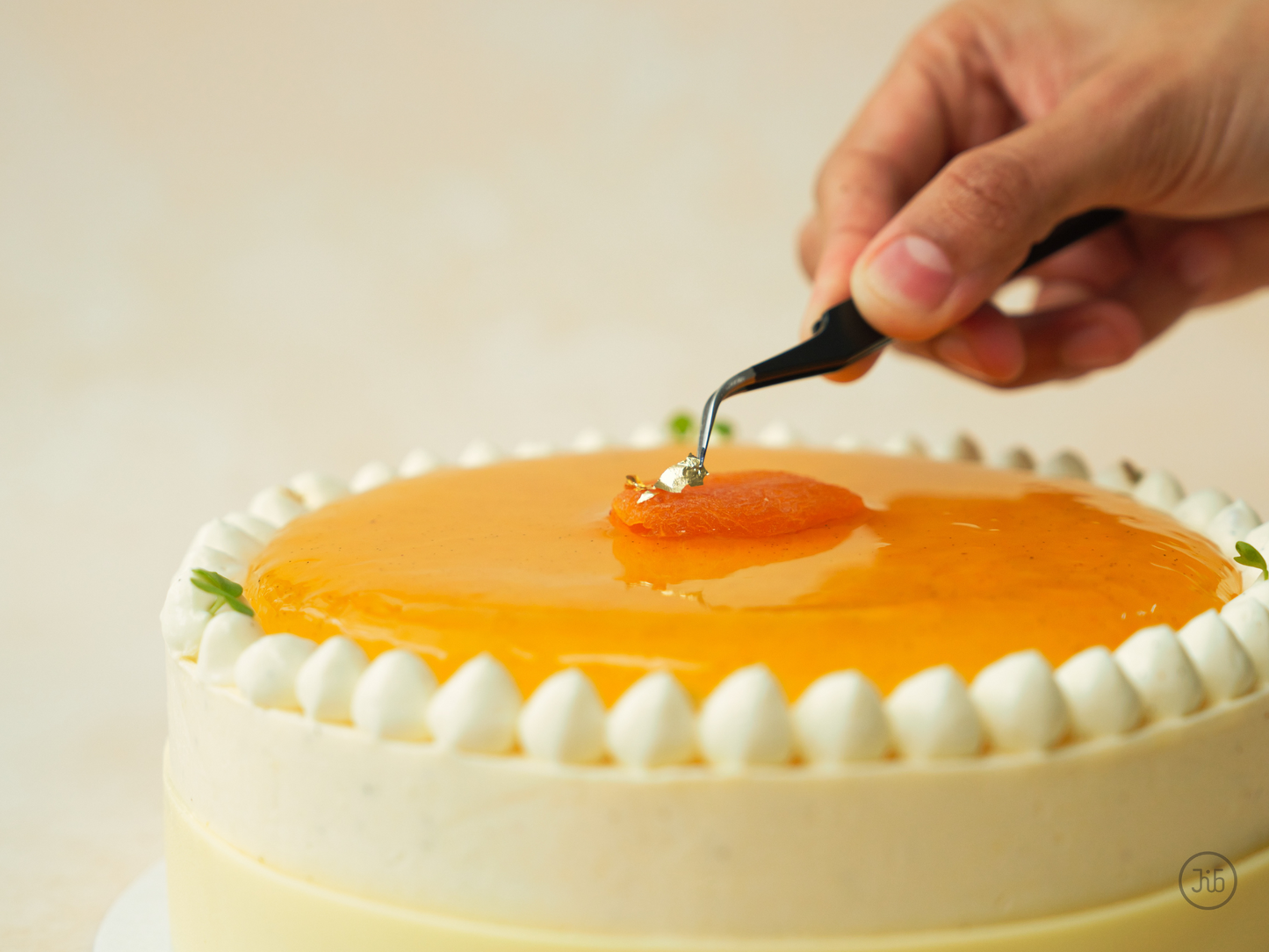 Vanilla Apricot Entremet