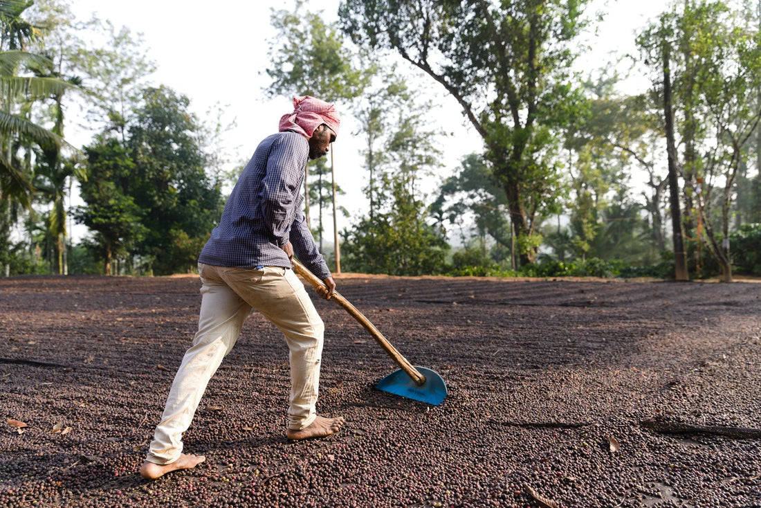 Farmer Power