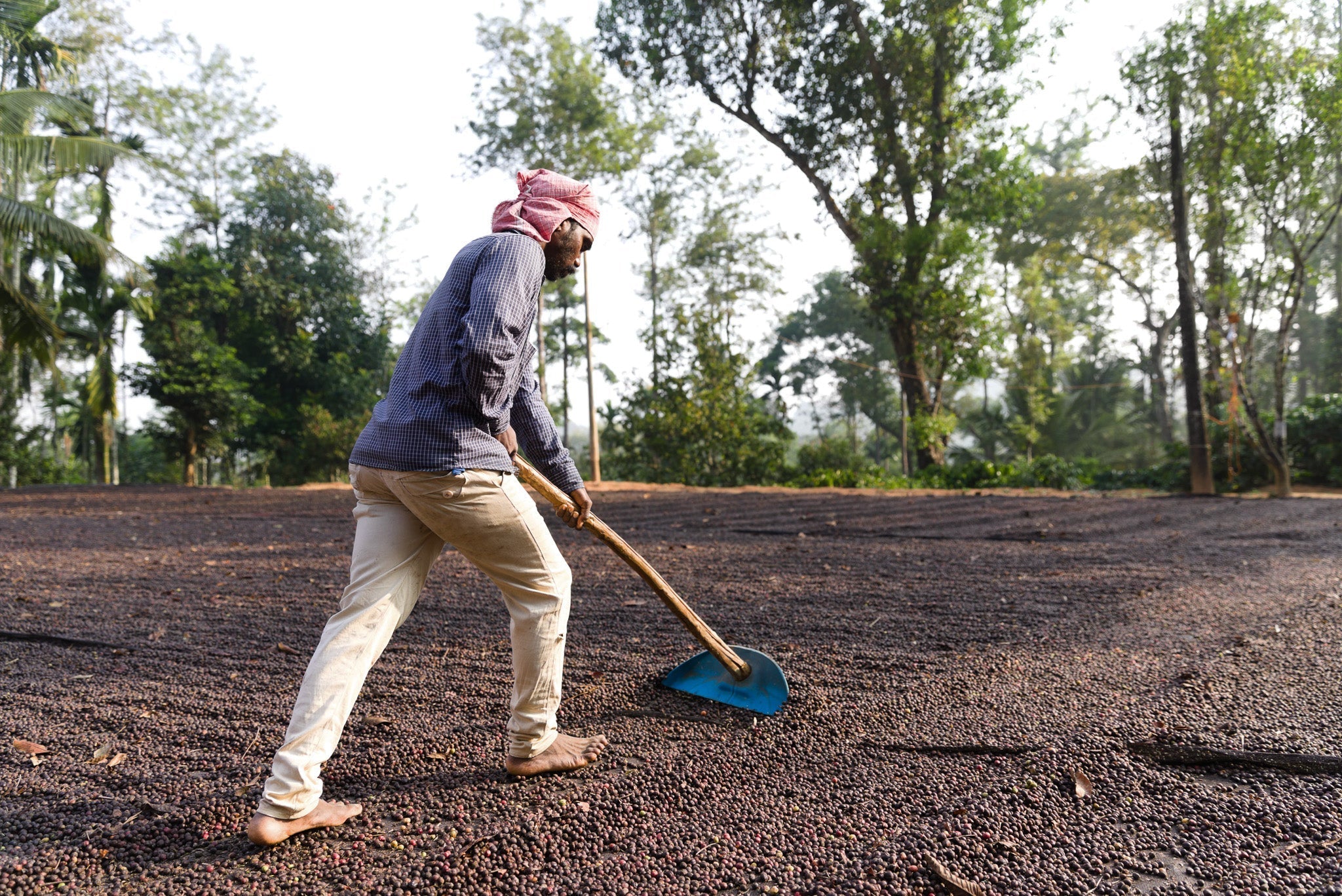Farmer Power