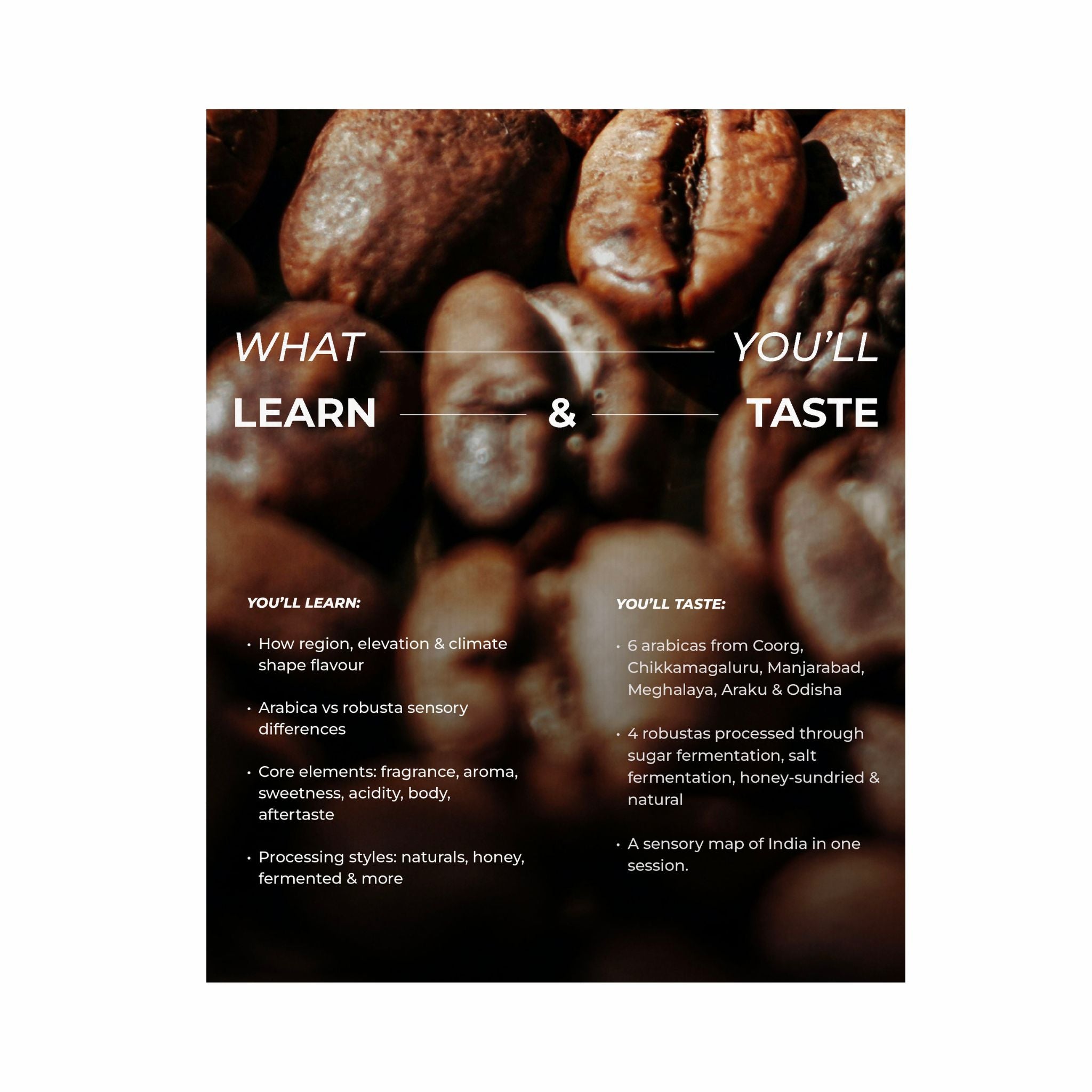 India Through Coffee- A Humblebean Cupping Series