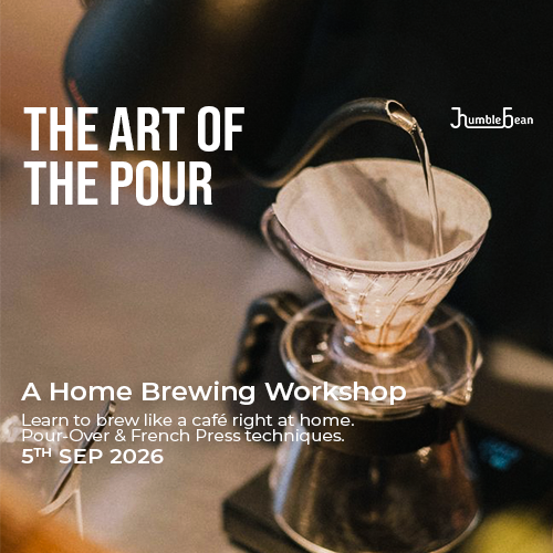 Home Brewing: Immersion & Drip