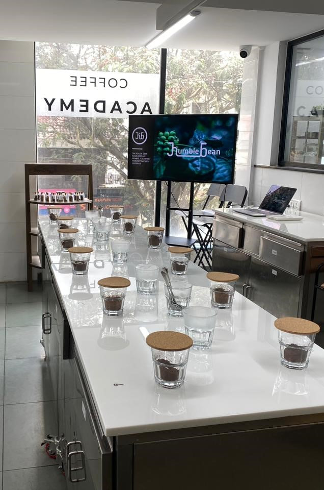 Coffee Cupping: Processing Methods